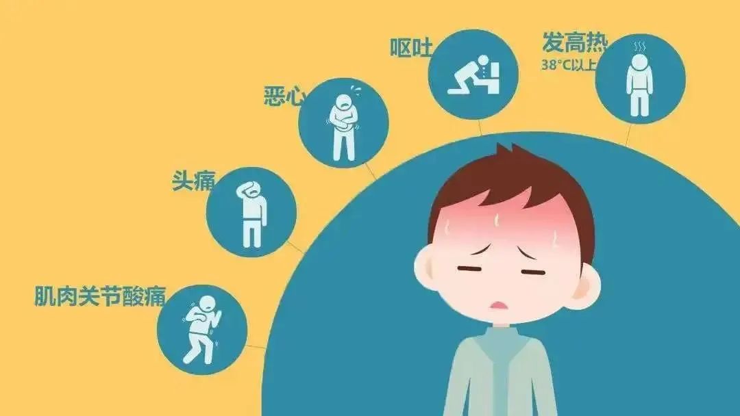 科普 | 小心这个“小虫子”带来的大麻烦！教你远离“发热伴血小板减少综合征”