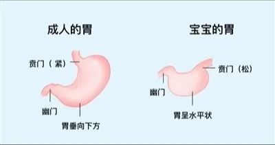 科普 | 新生儿喂养门道多